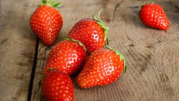 fraisiers ciflorette AB fraisiers ciflorette AB