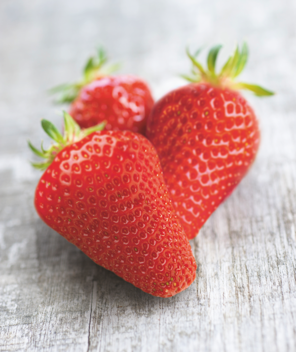 fraisier Cirafine AB fraisier Cirafine AB