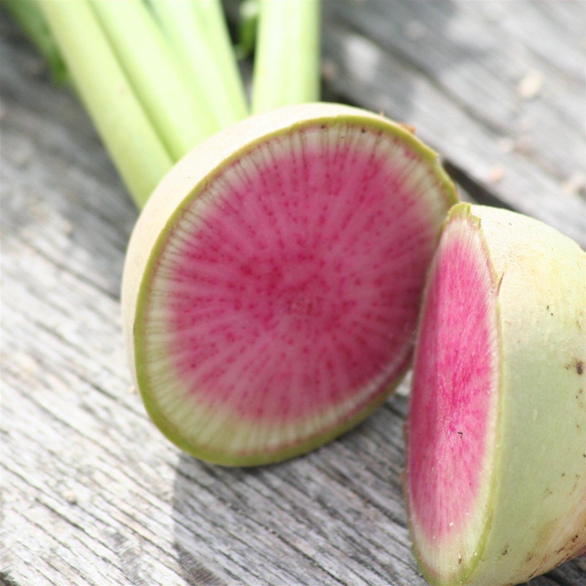 Baselle AB Baselle AB