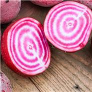 Baselle AB Baselle AB