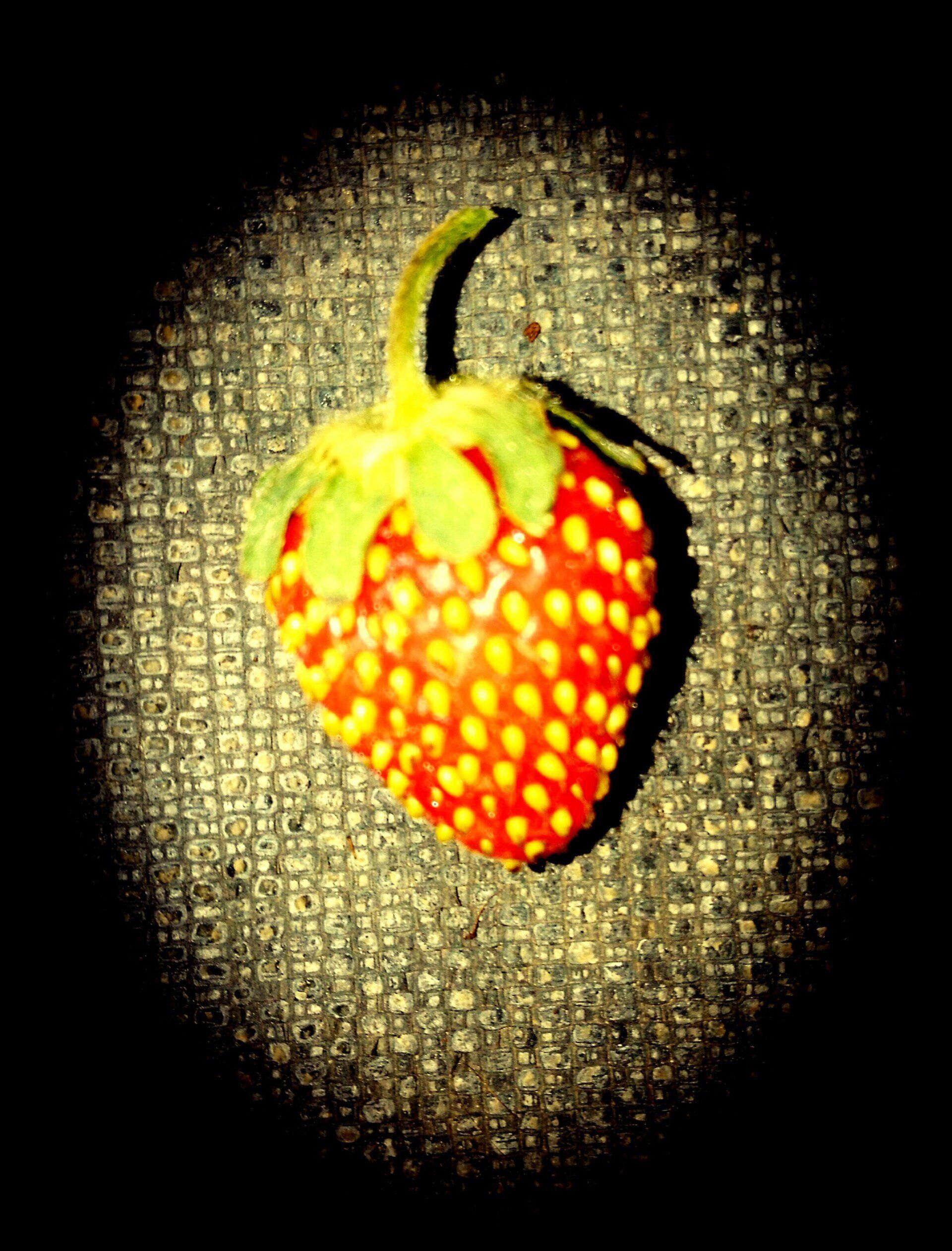fraise AB