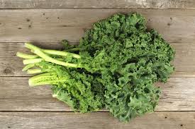 Aubergine Tsakoniki  AB Aubergine Tsakoniki  AB