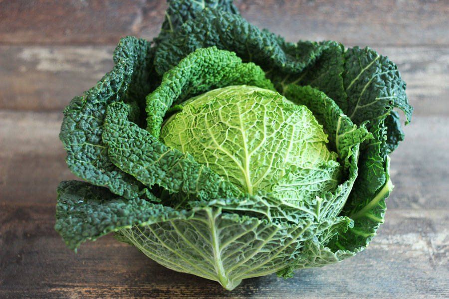 Aubergine Tsakoniki  AB Aubergine Tsakoniki  AB