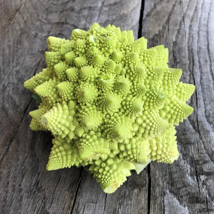 Aubergine blanche AB Aubergine longue blanche