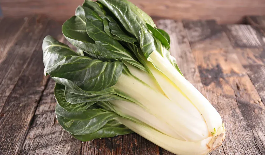 Baselle AB Baselle AB