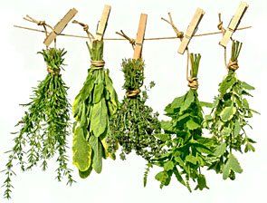 plantes aromatiques AB plantes aromatiques AB