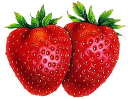 Fraisiers AB fraisiers AB