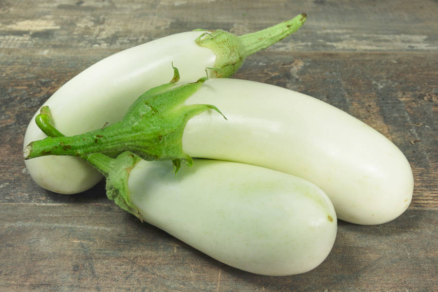 Aubergine blanche AB Aubergine longue blanche