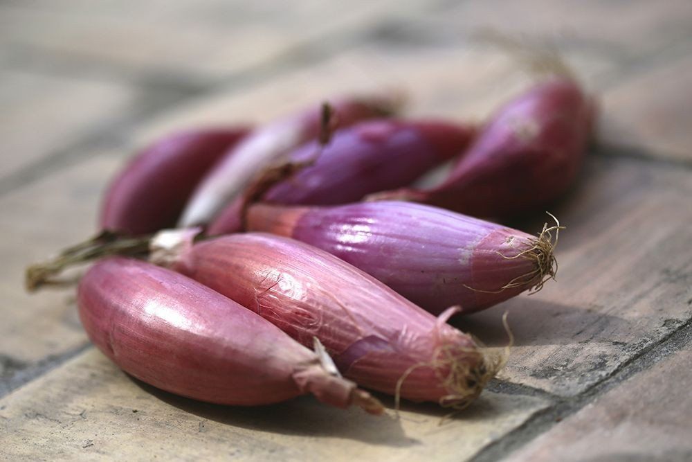 Baselle AB Baselle AB