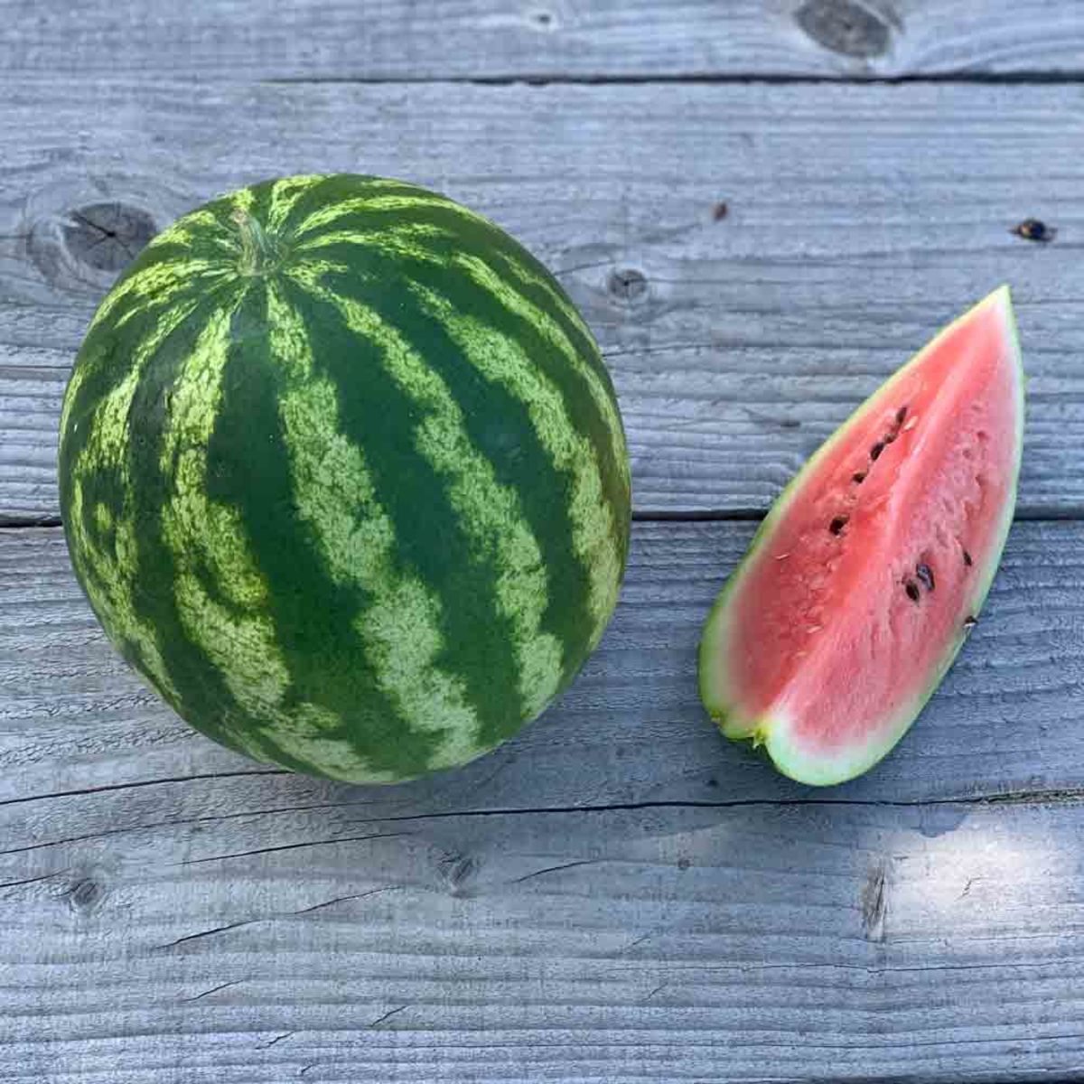 Pastèque crimson sweet AB Pastèque crimson sweet AB