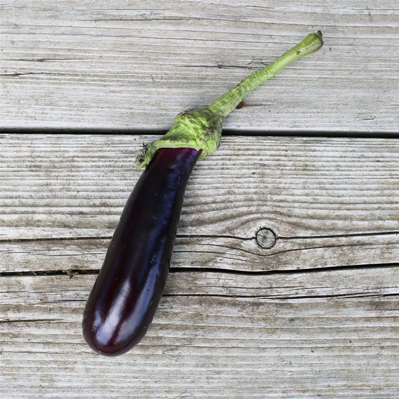 Aubergine de Barbentane AB