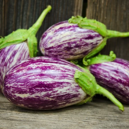 Aubergine Tsakoniki AB Aubergine Tsakoniki AB