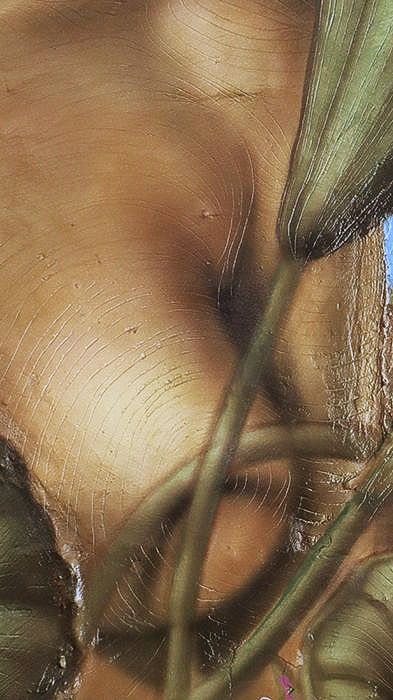 Drew Camell Kunstwerk Detailaufname der Brust einer schönen Dame aus seinem Kunstwerk