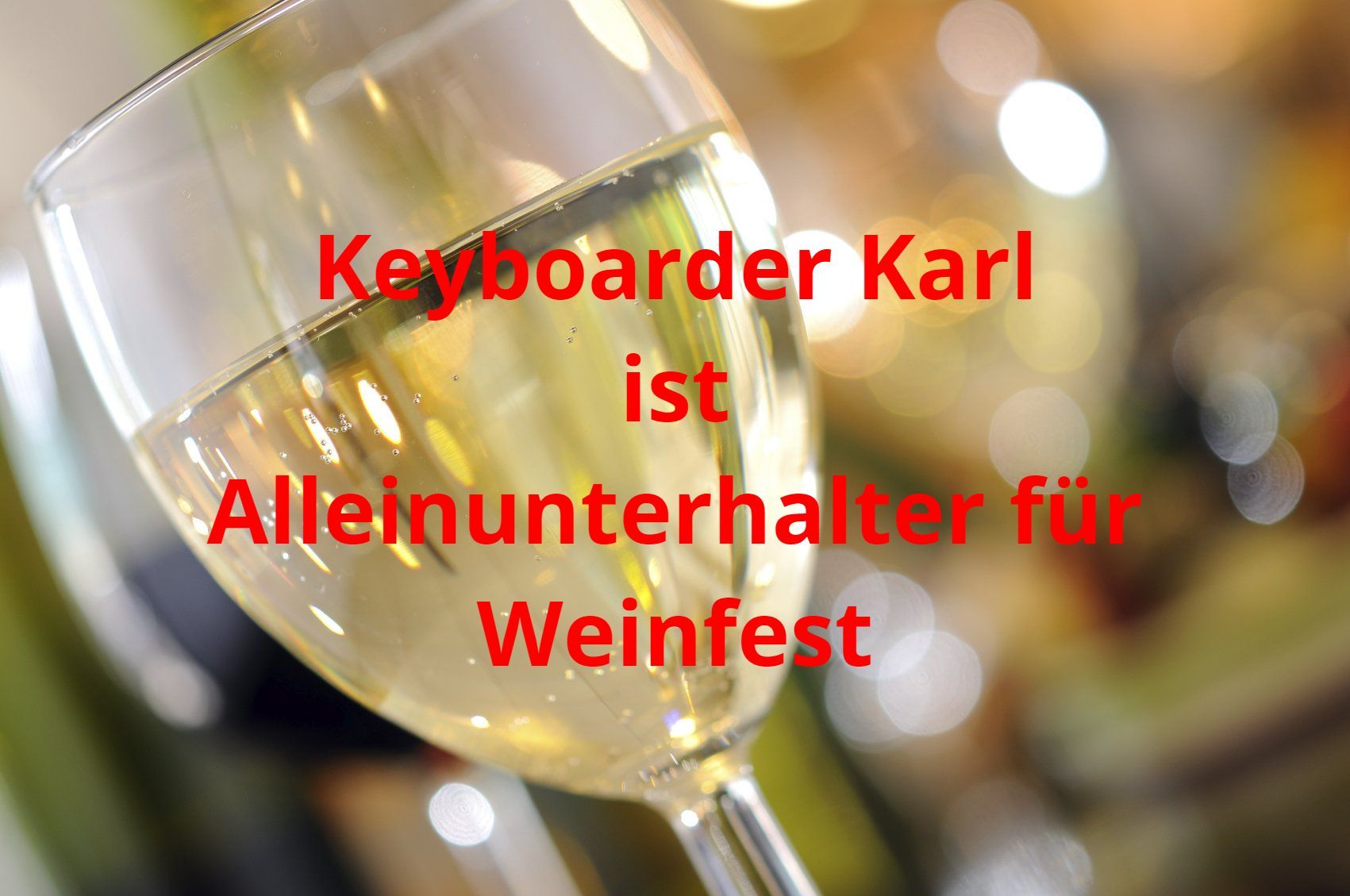 Alleinunterhalter für Weinfest Buchen Sie Keyboarder Karl als Alleinunterhalter für ihr Weinfest in NRW