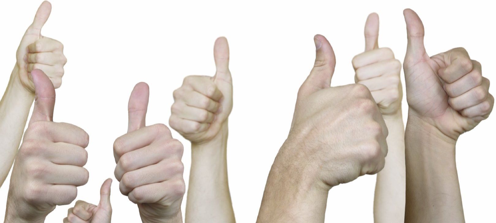 Dr. Jerzy Staus gibt eine Leseempfehlung für Weißt du, wohin die Liebe geht? Dr. Jerzy Staus gibt eine Leseempfehlung für Weißt du, wohin die Liebe geht?