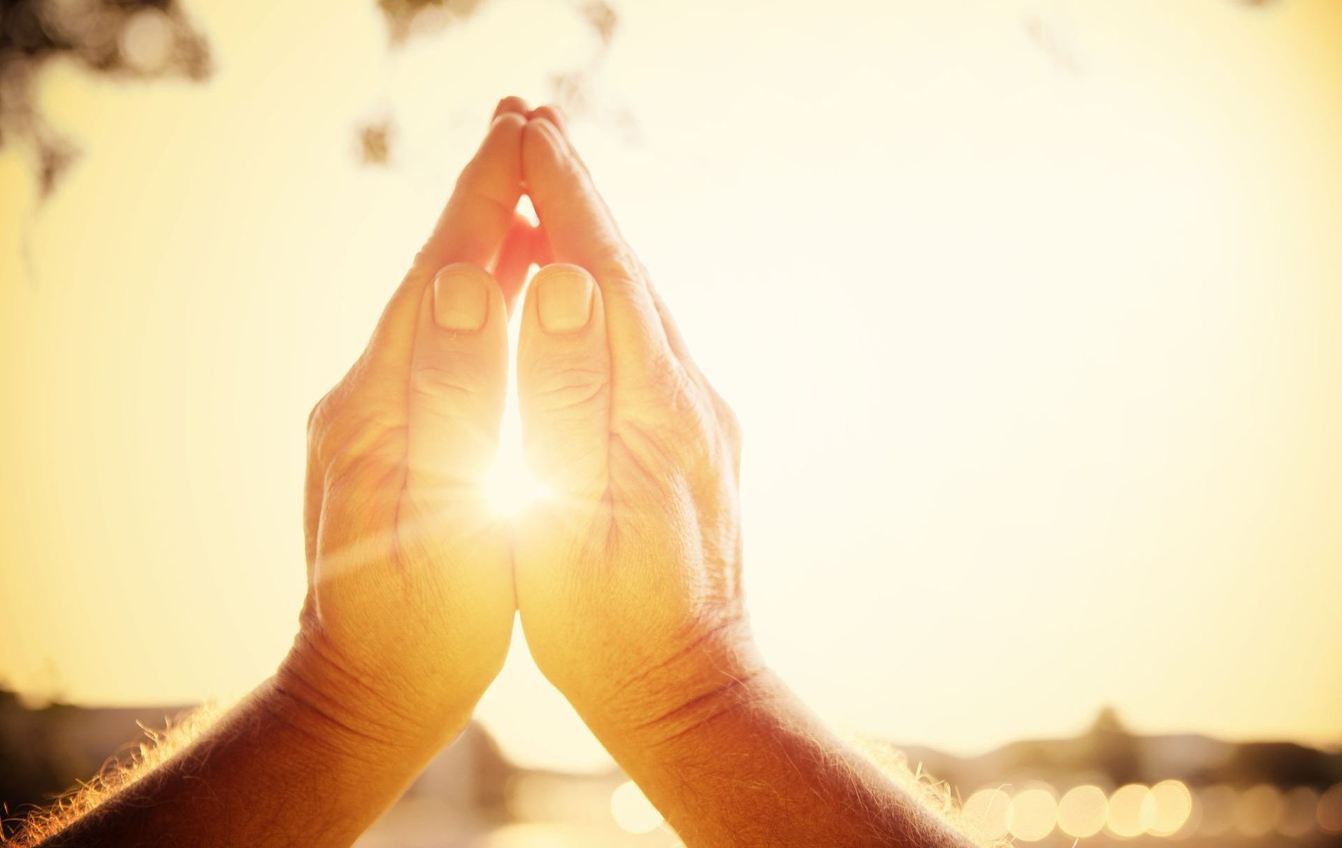 Christiane Raeder empfiehlt Weißt du wohin die Liebe geht als Geschenkbuch Weißt du, wohin die Liebe geht, ein Buch über das Vergeben und die Liebe