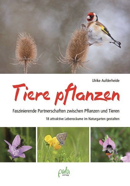 Kinderbuch Bienenstreik - Spenden für den Erhalt der Artenvielfalt Kinderbuch Bienenstreik - Spenden für den Erhalt der Artenvielfalt