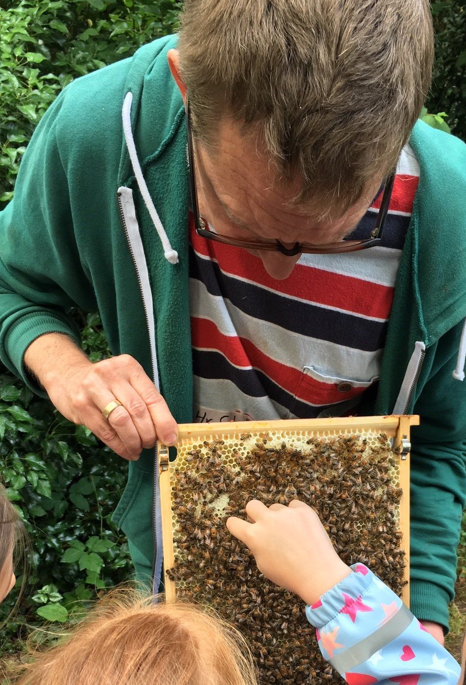 Kinderbuch Bienenstreik - Bienenpädagogik Kinderbuch Bienenstreik - Bienenpädagogik