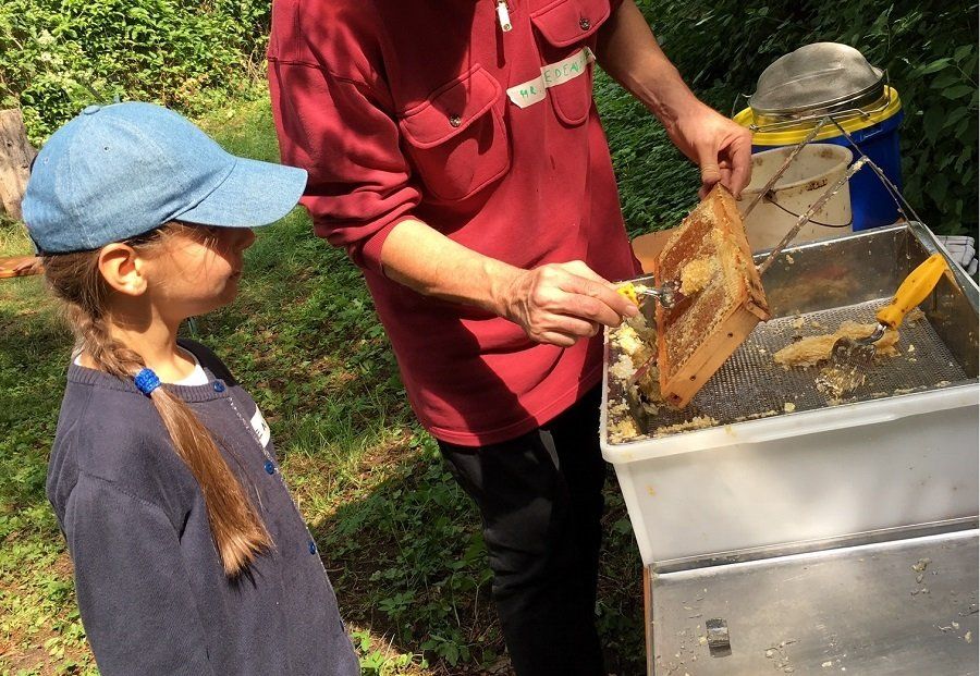 Kinderbuch Bienenstreik - Bienenpädagogik Kinderbuch Bienenstreik - Bienenpädagogik