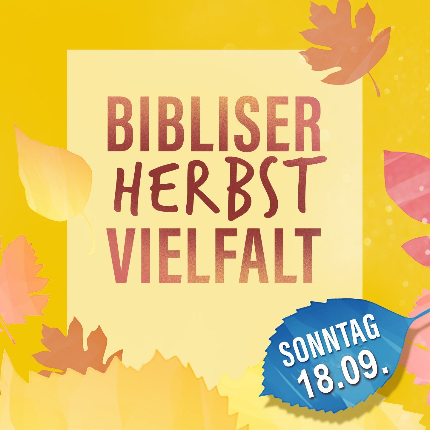 Bibliser Herbstvielfalt Biblis Kunst- und Handwerkermarkt Künstler Kunstgewerbe Märkte Südhessen