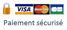 logo paiement securisé