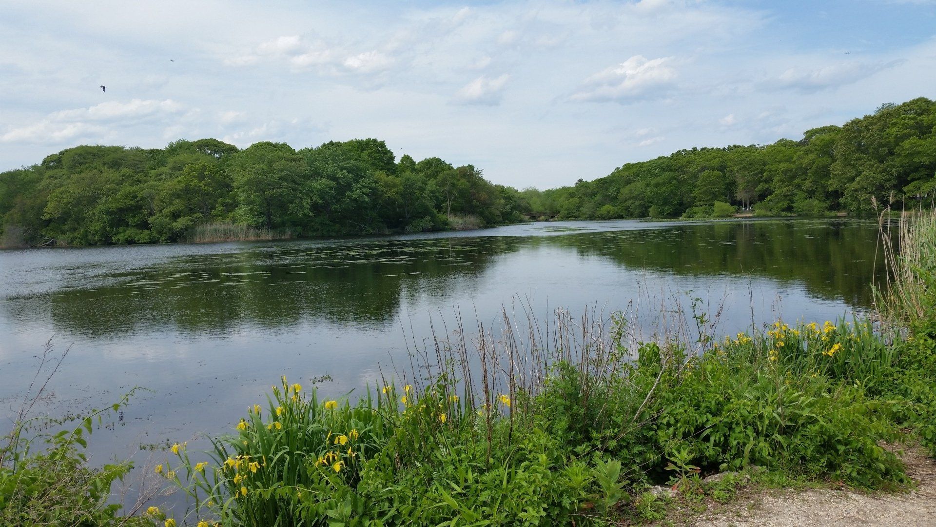 A couple in front of a sign reading A couple in front of a sign reading