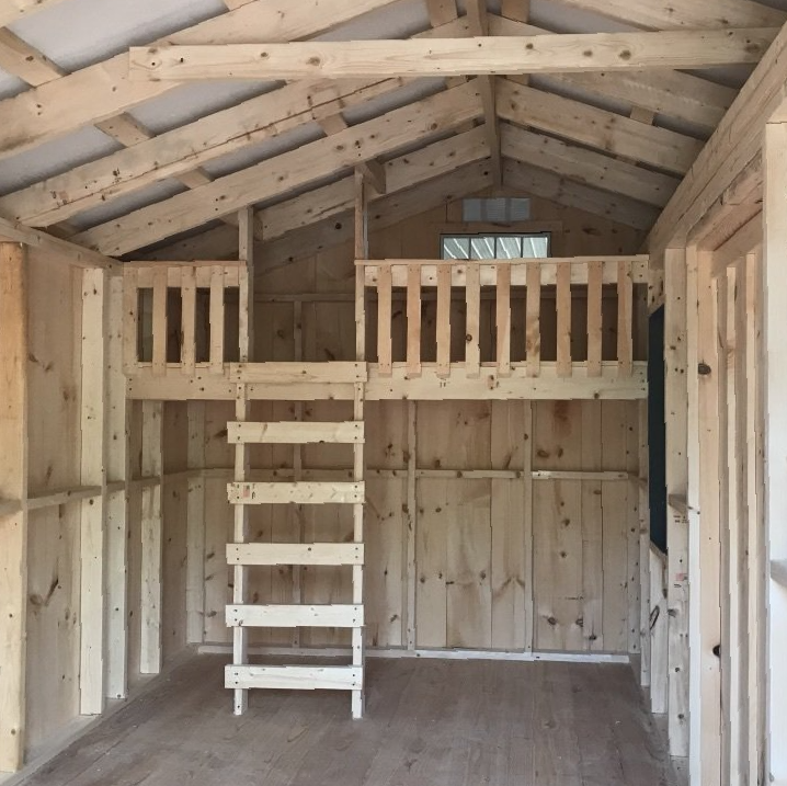 Bunks & Ladder