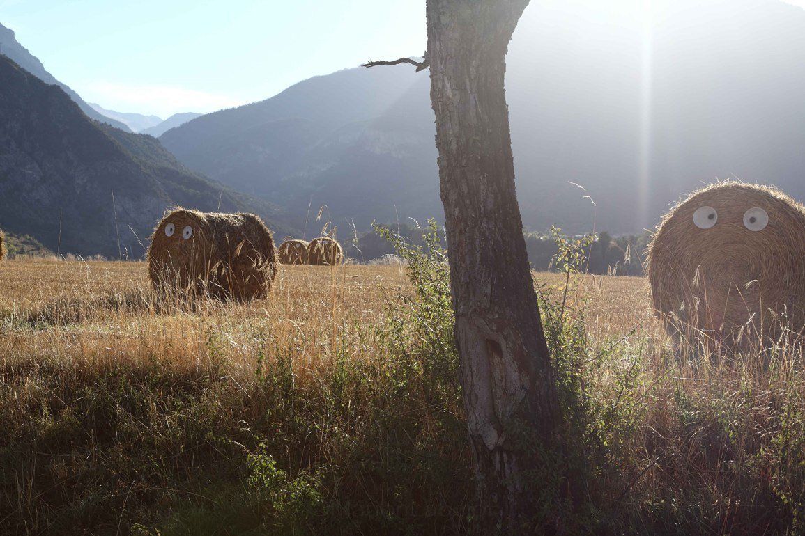 Festival Conte Escarpe - Compagnie Conte