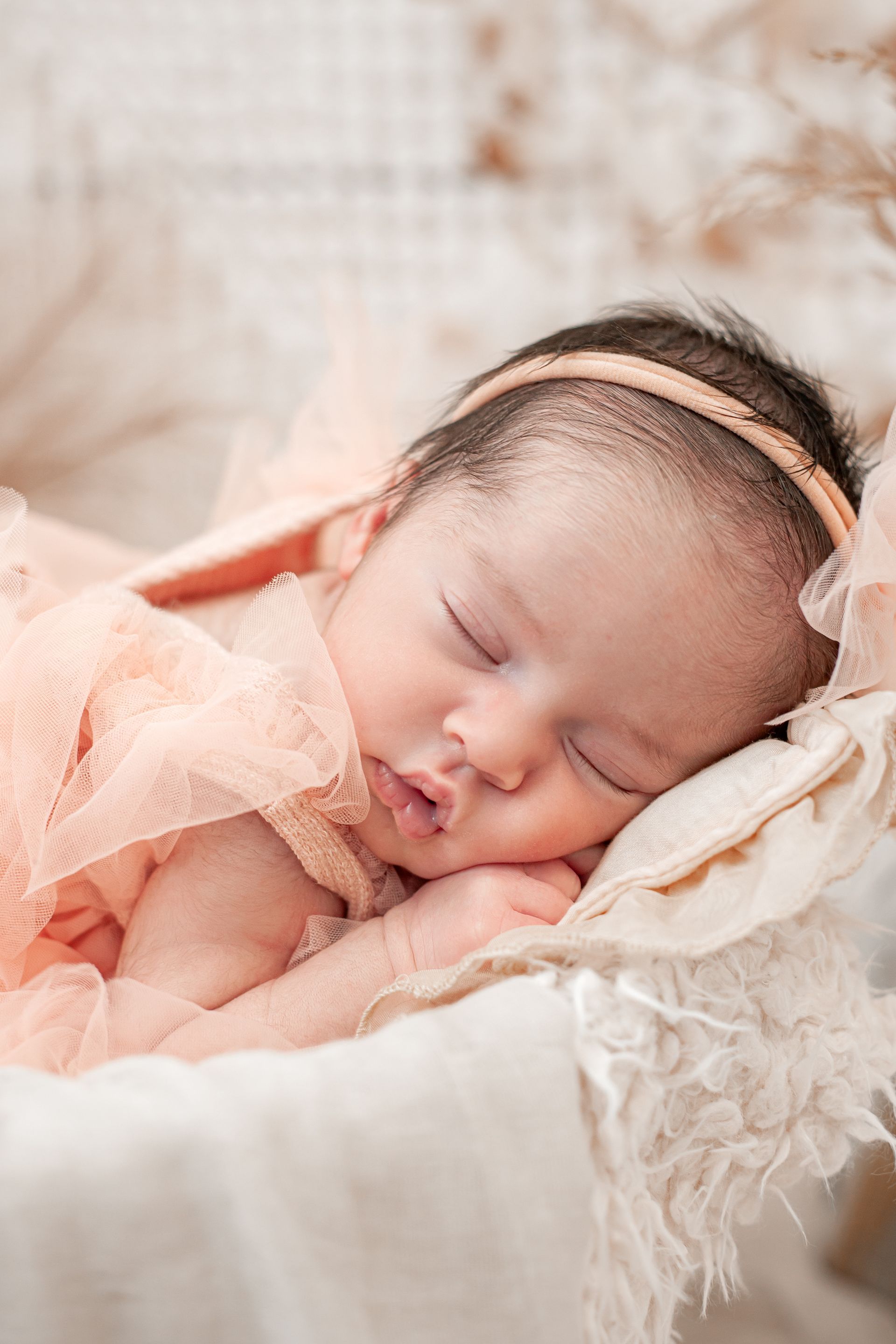 photographe-naissance-anniversaire-sainr-etienne