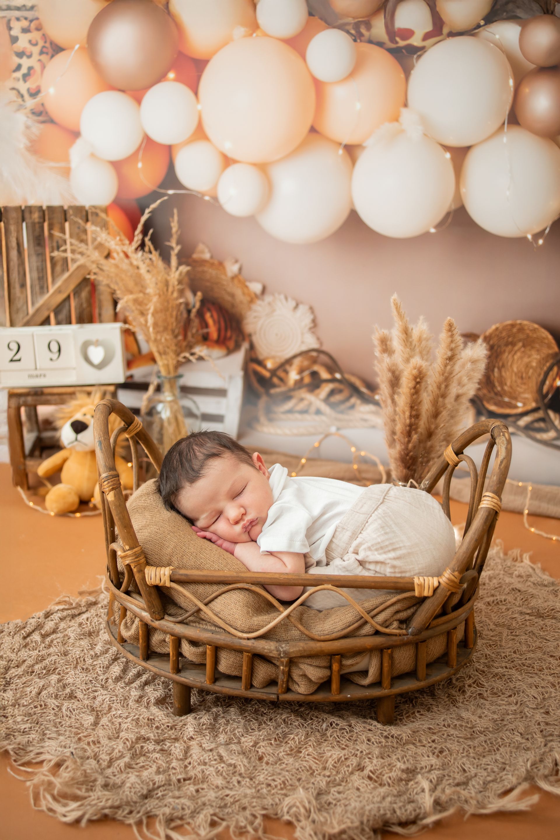 photographe-naissance-saint-etienne