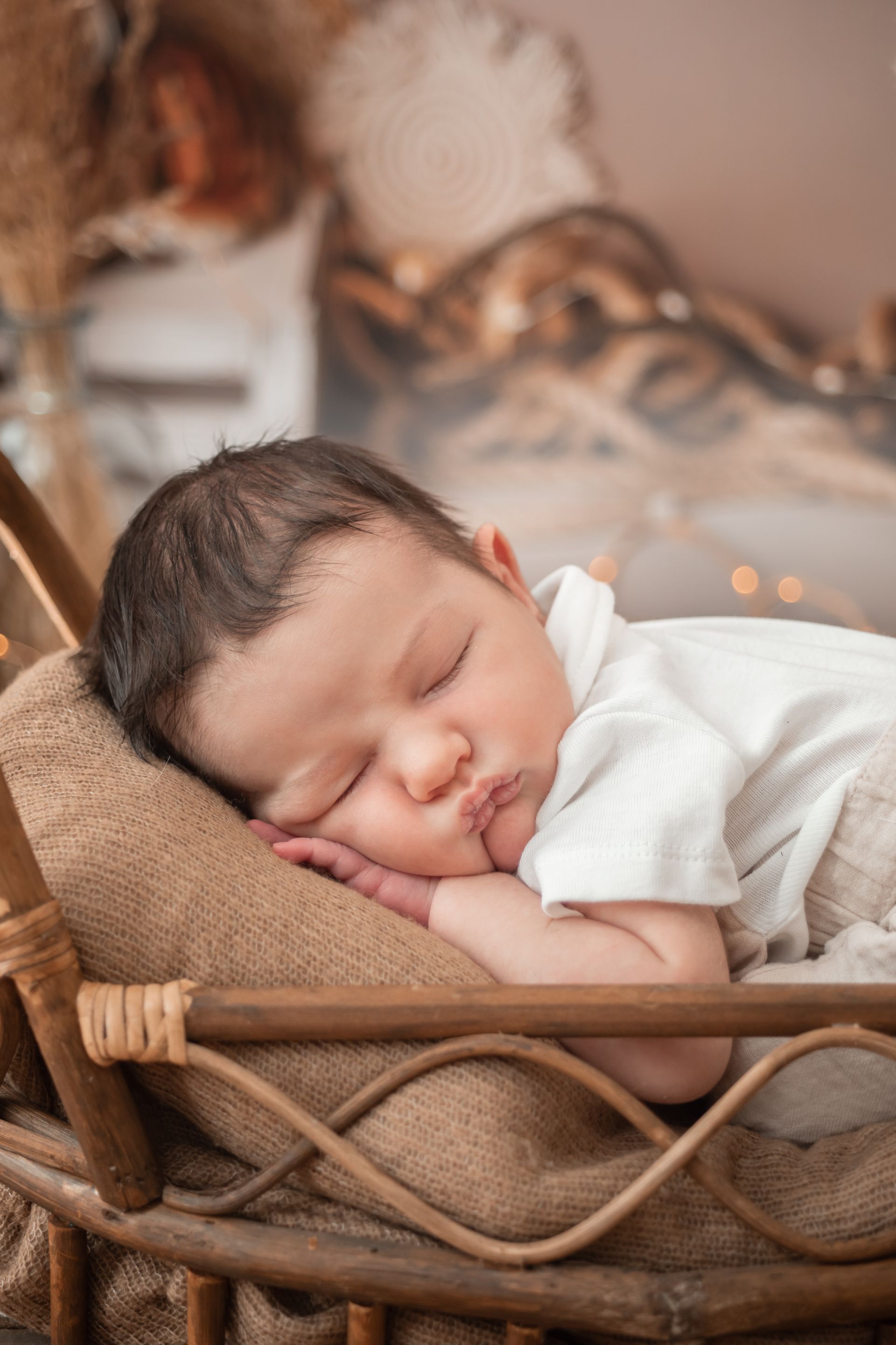 photographe spécialisée-saint-etienne