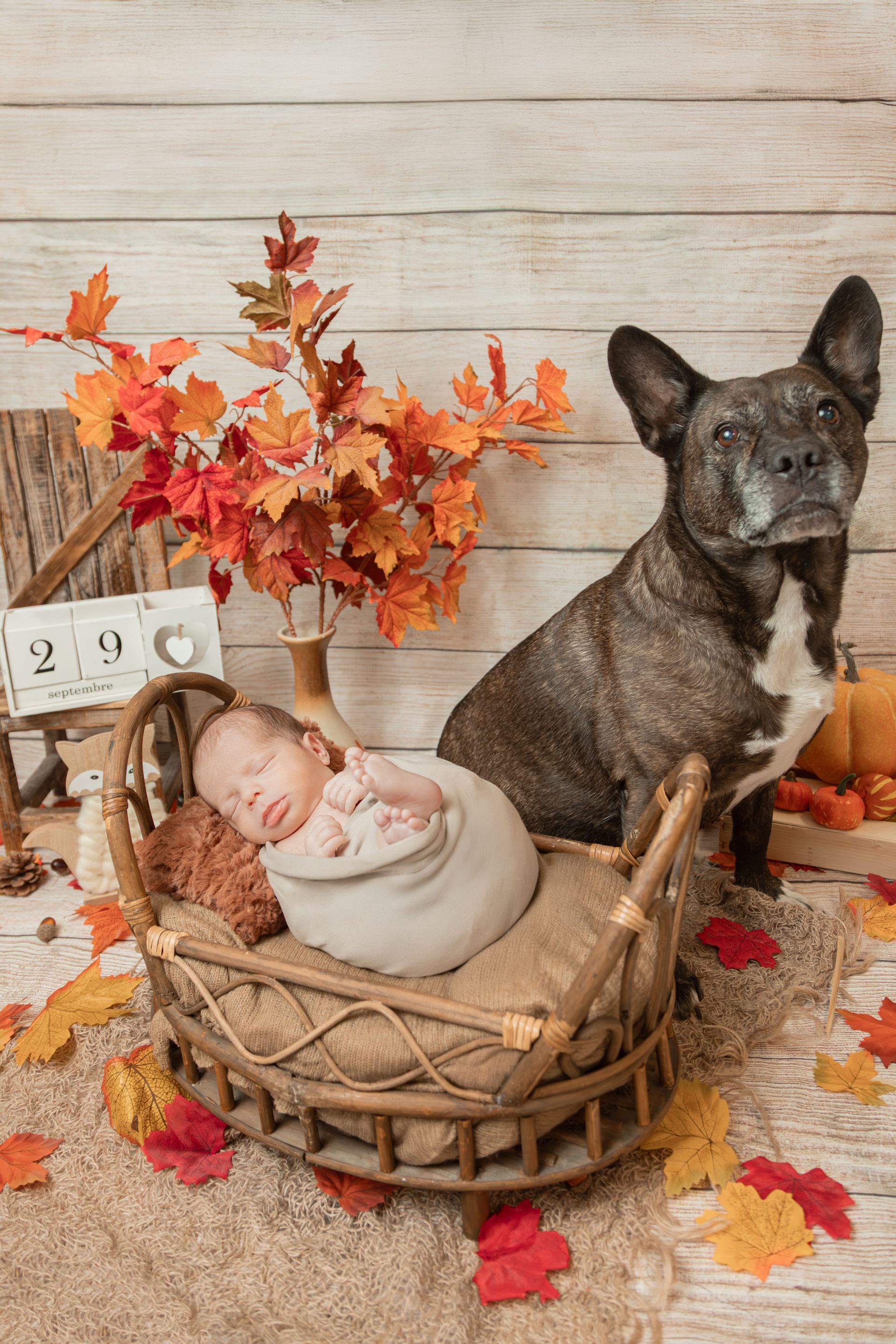 photographe shooting photo naissance saint-etienne
