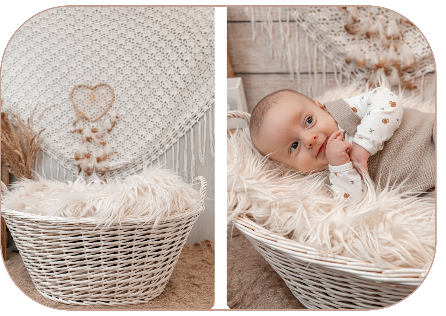 photographe-saint-etienne