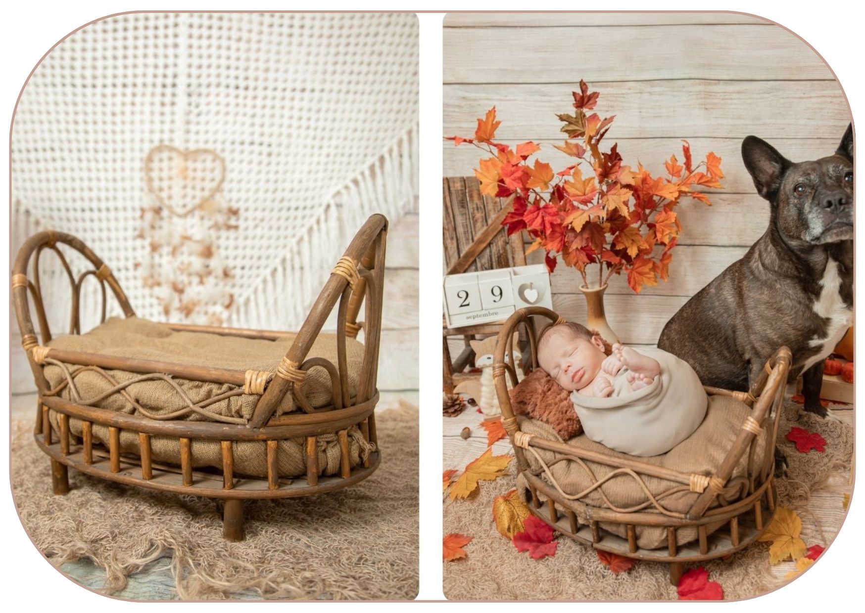 photographe-saint-etienne