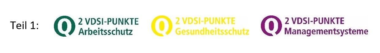 VDSI Punkte für den Gesundheitsschutz