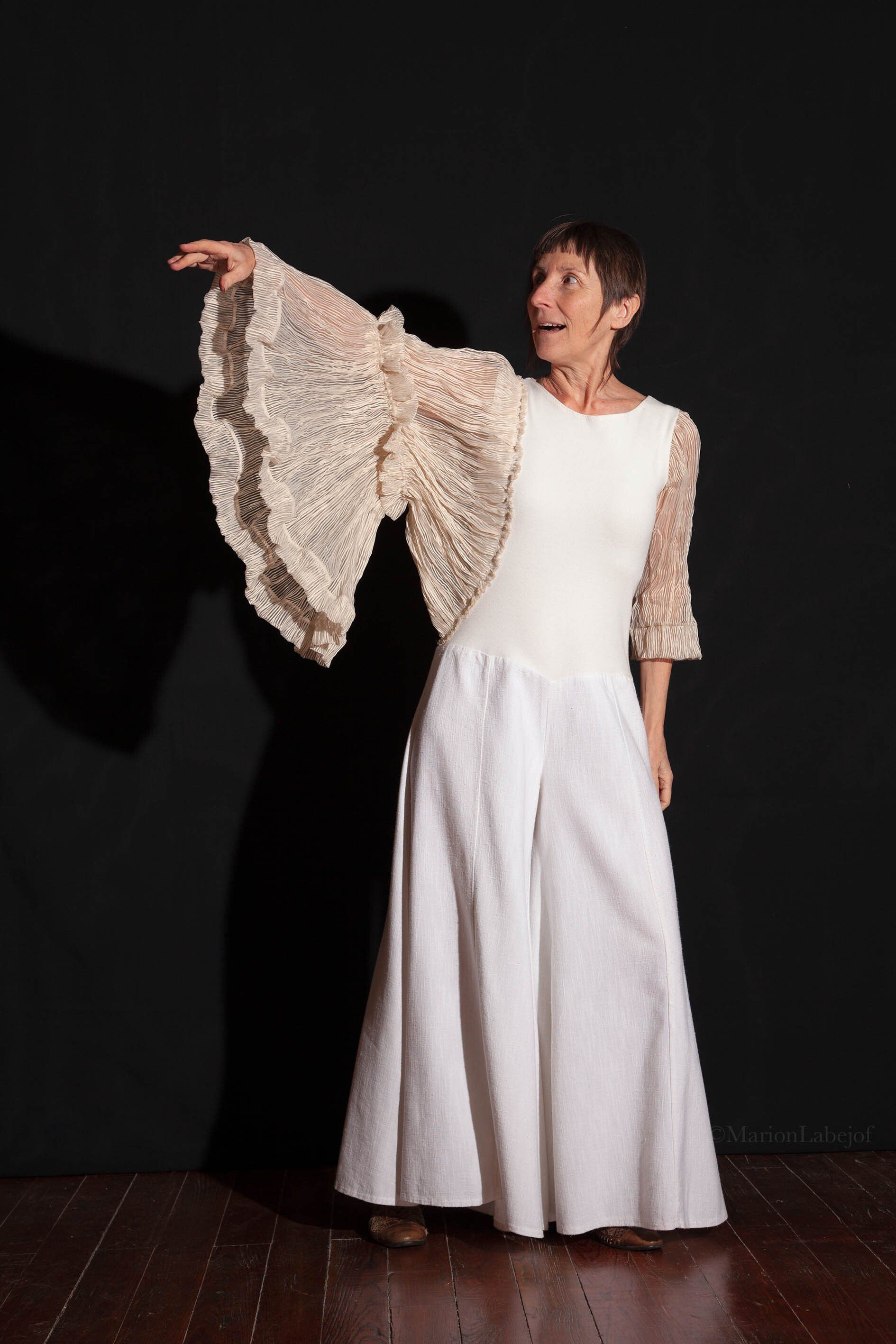 Anne Lopez,Sur les ailes de Nils