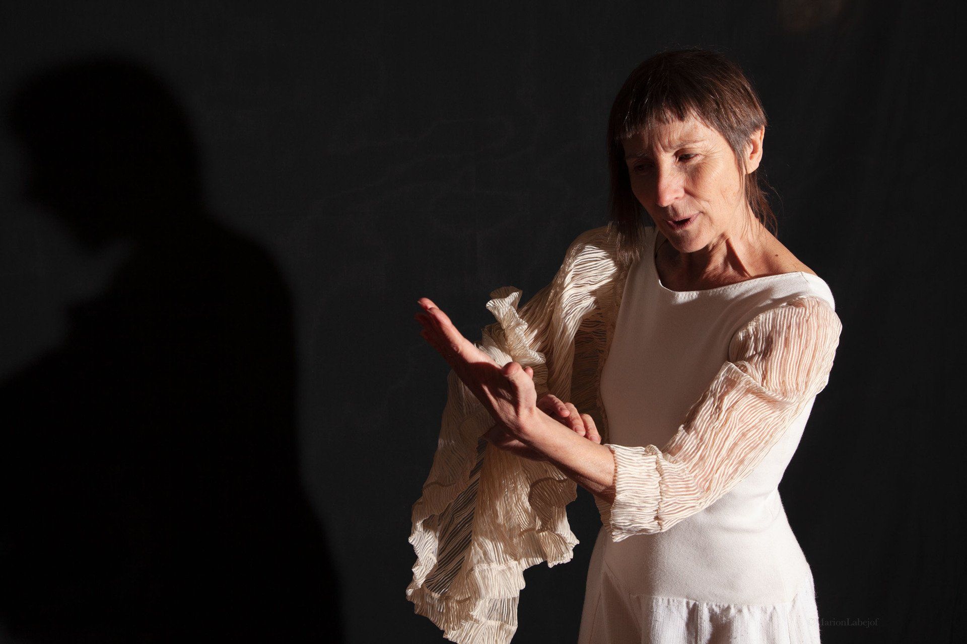 Le spectacle Sur les ailes de Nils Sur les ailes de Nils spectacle Anne Lopez