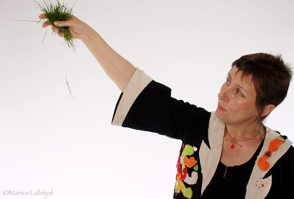 Attention à la vache Anne Lopez