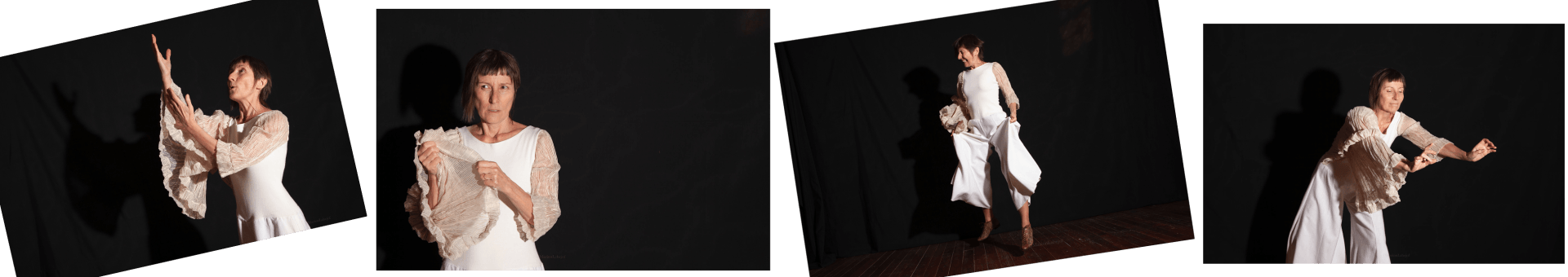 Le spectacle Sur les ailes de Nils Sur les ailes de Nils , spectacle, Anne Lopez