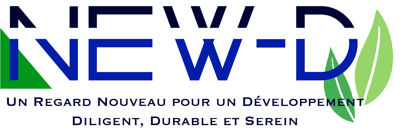 New-D Conseil en Stratégie & Gestion de Projets