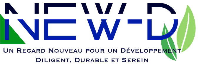 New-D Conseil en Stratégie & Gestion de Projets