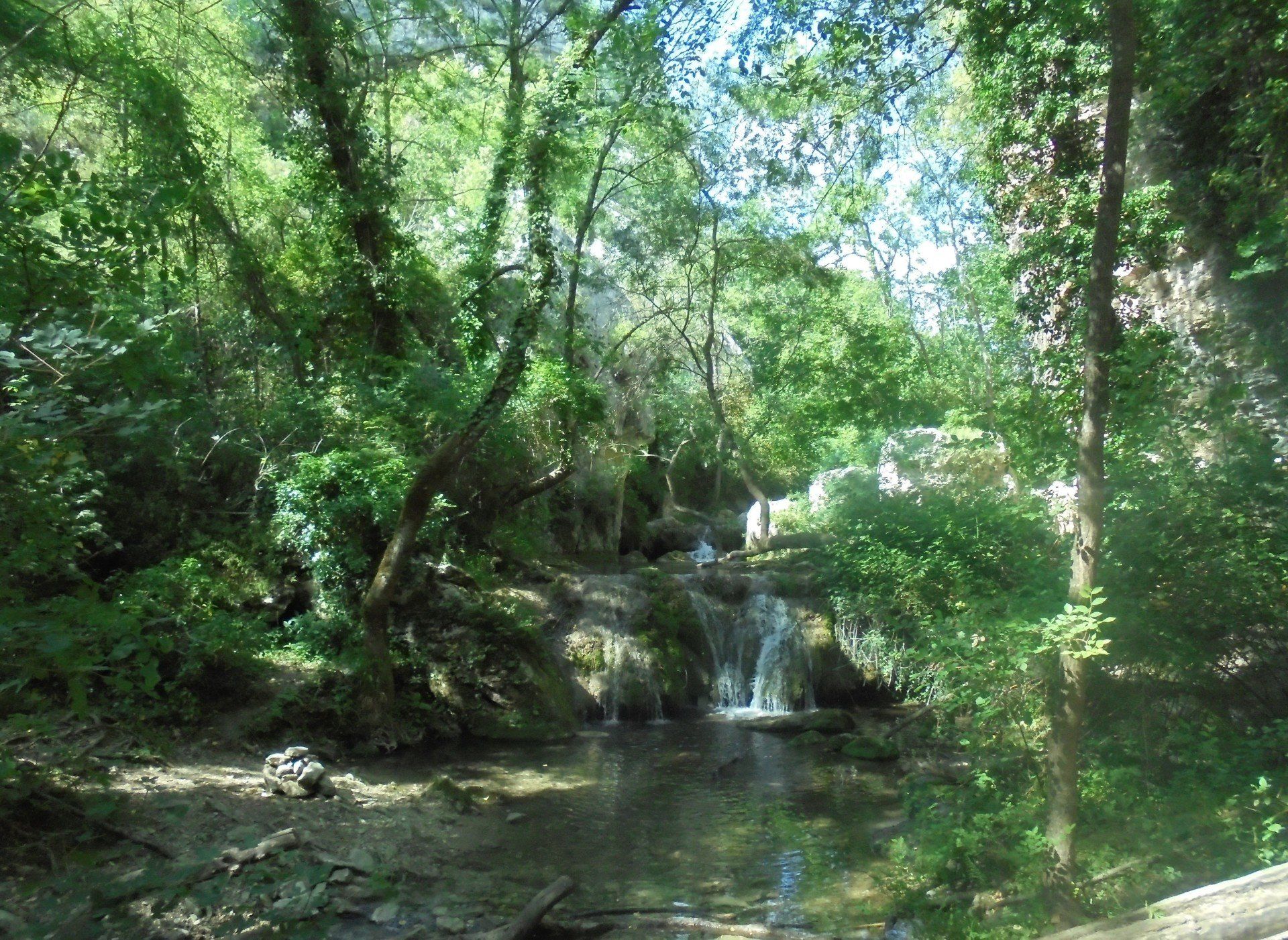 Rivière en sous-bois