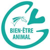 Les Ecuries des Platanes labélisées Ecole Française d'Equitation mention bien-être animal 2021