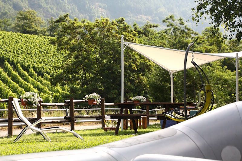 Relax con vista vigna.