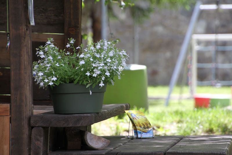 Alla segreteria di Inti non possono mancare i fiori.