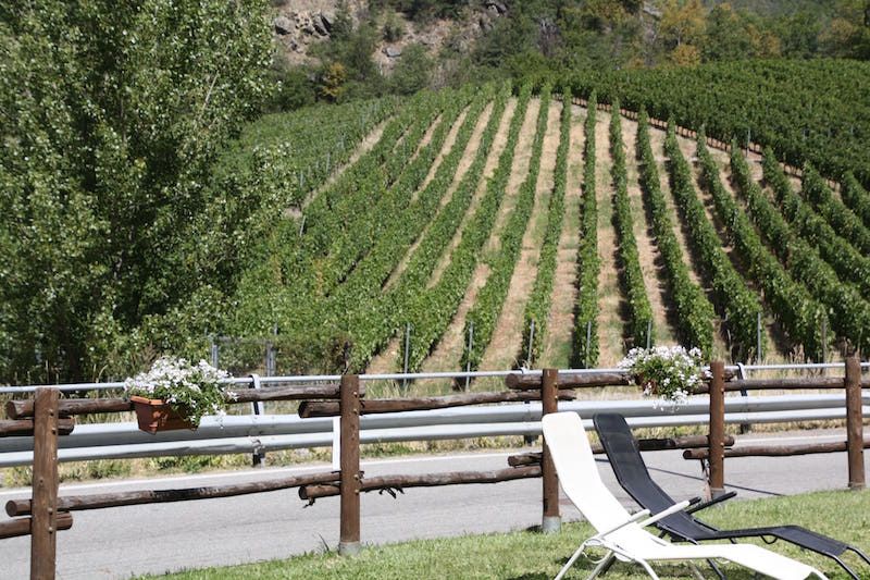 Divertimento e relax.