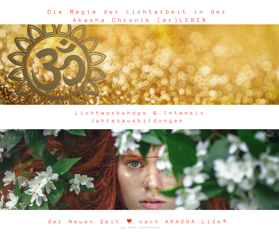 Seminare und Workshops nach AKASHA Life®