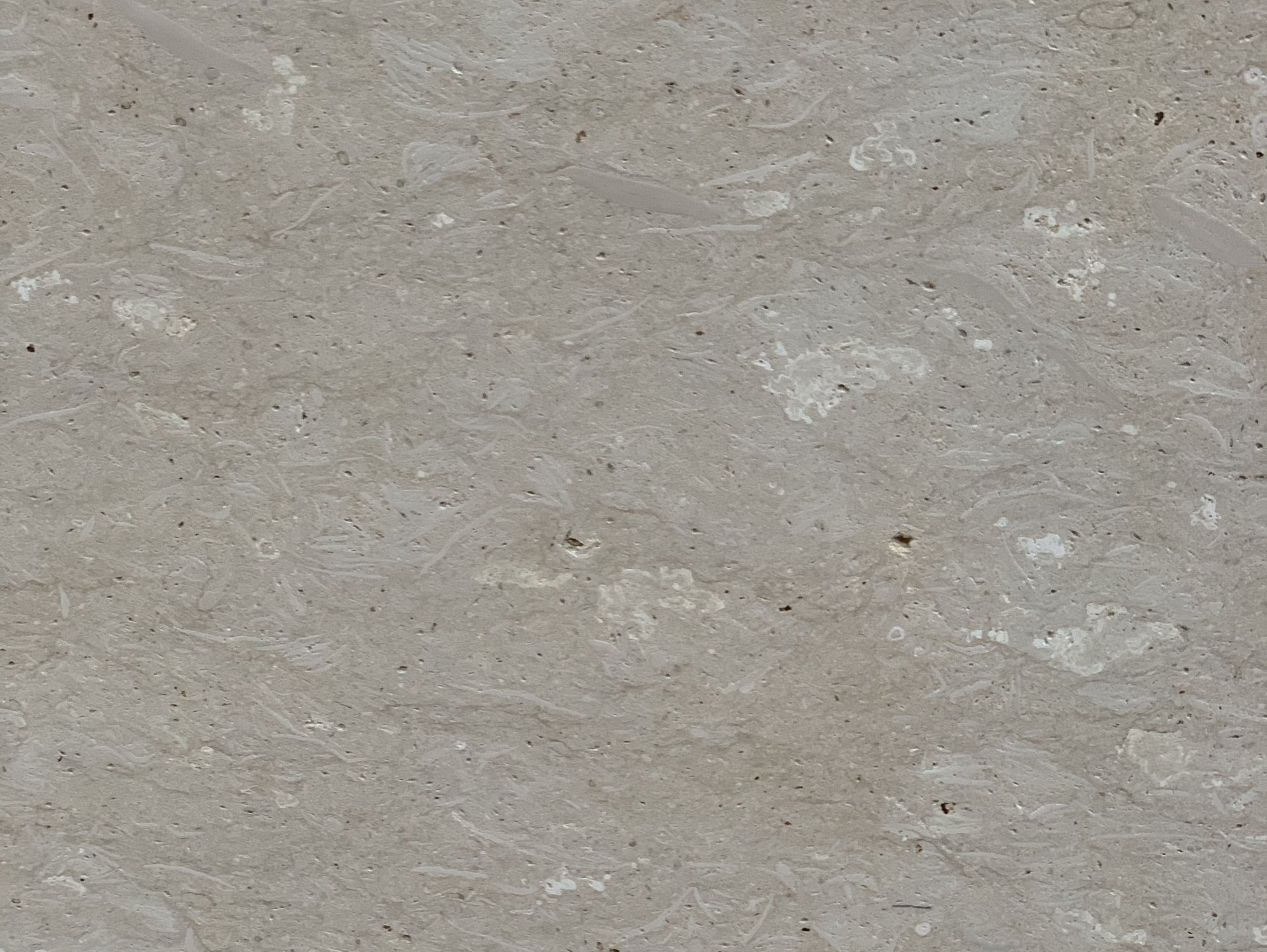 Grigio Alpi, honed. Vicenza stone.