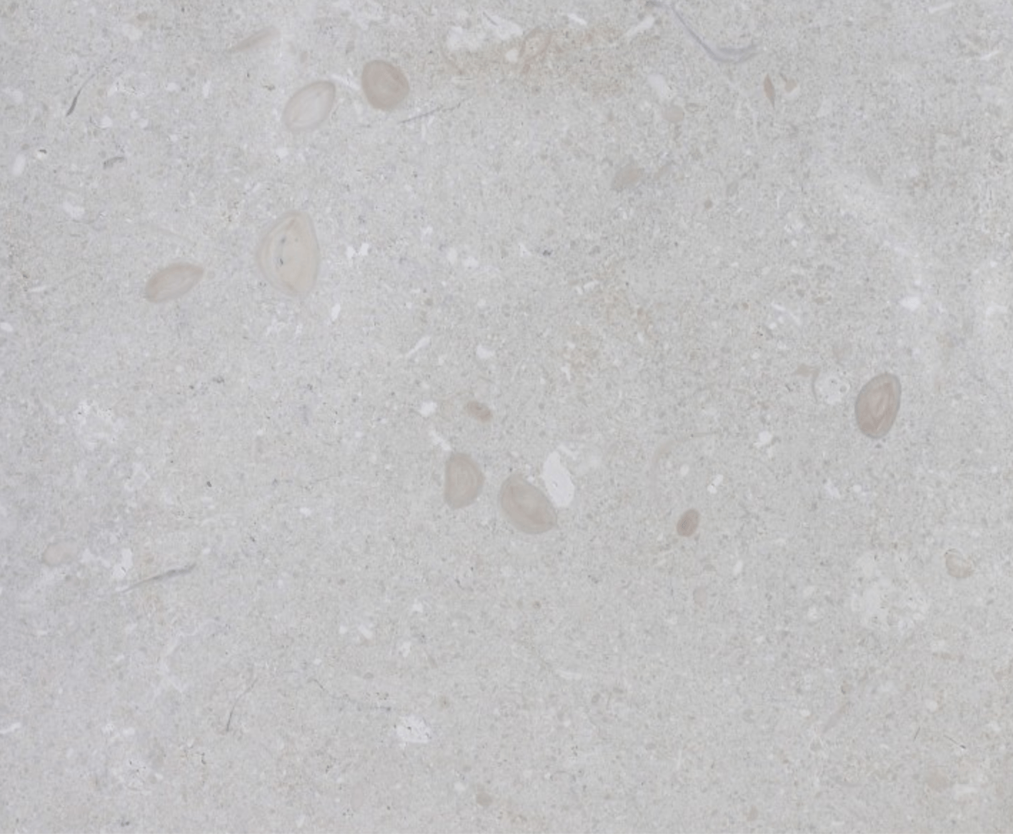 Perla dei Berici, honed - Vicenza stone