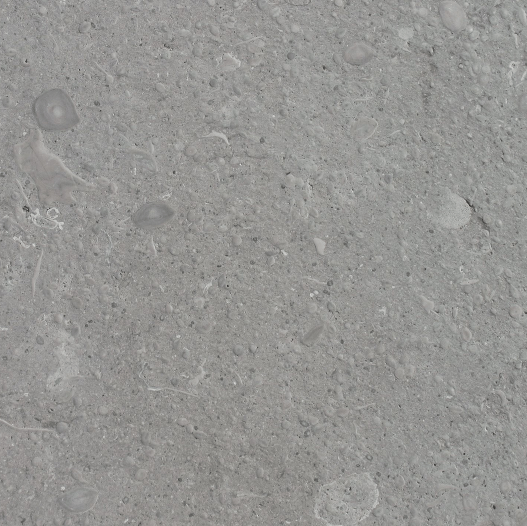 Grigio Argento, lightly brushed. Vicenza stone